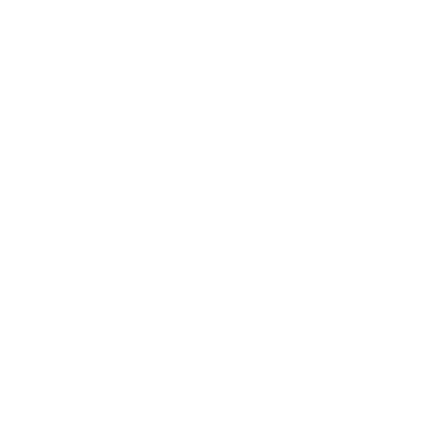Laianzhi FFP2 Maske