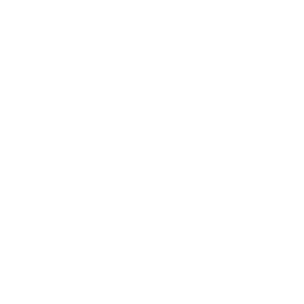 Lindenpartner FFP2 Maske